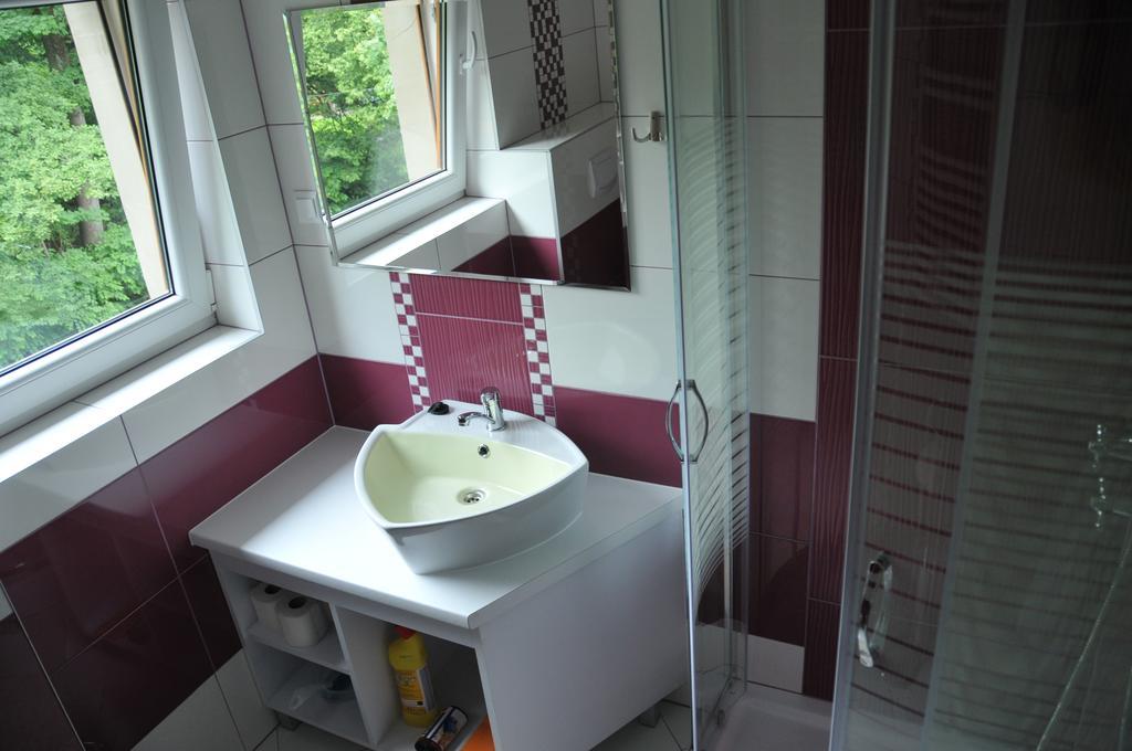 Willa Stenia Apartamenty Wisla Room photo
